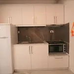 Koci