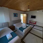 Koci *