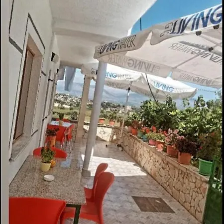 Koci